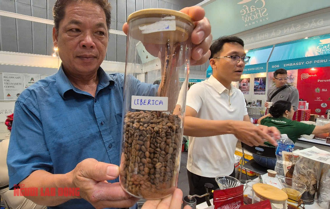 Giá cà phê hôm nay 27-4: Cà phê "bờ rào" bất ngờ vượt mặt Arabica!- Ảnh 1. Giá cà phê hôm nay 27-4: Cà phê "bờ rào" bất ngờ vượt mặt Arabica!- Ảnh 1.