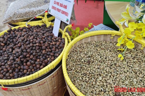 Giá cà phê hôm nay 16-1: Bật tăng rất mạnh Giá cà phê hôm nay 17-5: Giảm mạnh tới 3 con số- Ảnh 1.
