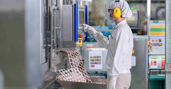 Giá cà phê hôm nay 19-4: Giảm mạnh, ông lớn FDI rót thêm ngàn tỉ vào chế biến sâu