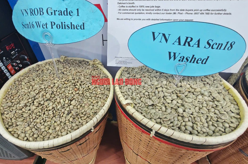 base64-17489108668682110425329 Giá cà phê hôm nay 3-6: Thủng mốc 4500 USD/tấn - Ảnh 1.