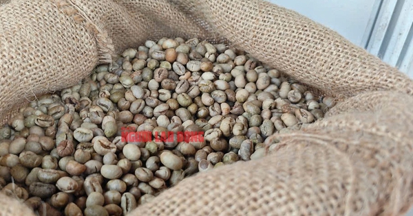 Giá cà phê hôm nay 4-6: Giảm tiếp, Đức chi gần gấp đôi để mua cà phê Việt