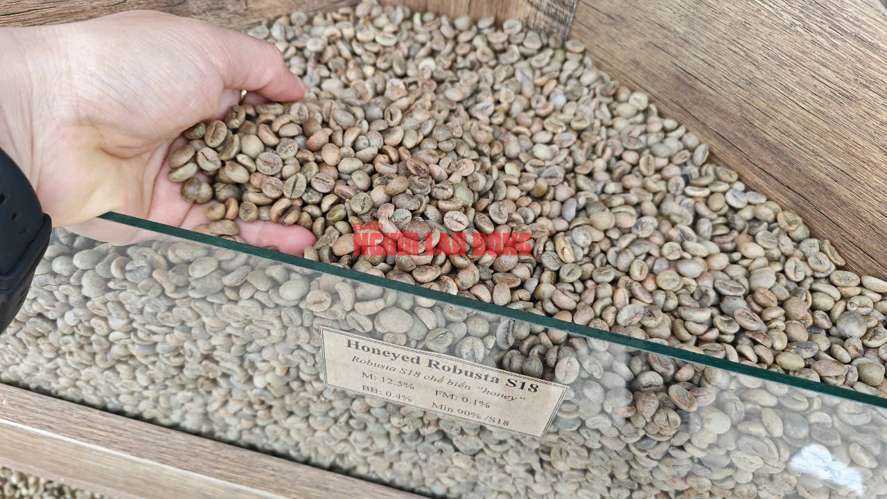 base64-17490812865361660523749 Giá cà phê hôm nay 5-6: Cắt đà giảm và kỷ lục mới của cà phê - Ảnh 1.