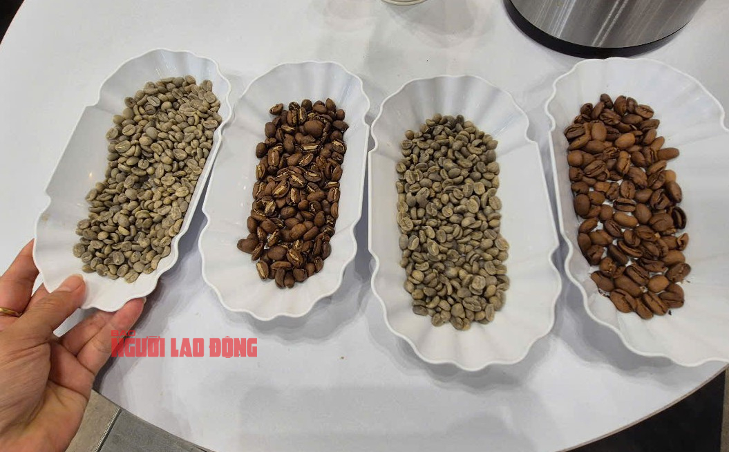 Giá cà phê hôm nay 16-6: Bao giờ xả kho?- Ảnh 1.