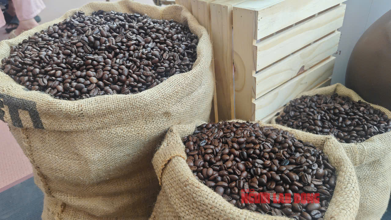 Giá cà phê hôm nay 4-7: Robusta tăng, Arabica giảm, Việt Nam xuất khẩu lập kỷ lục khó tin- Ảnh 1.