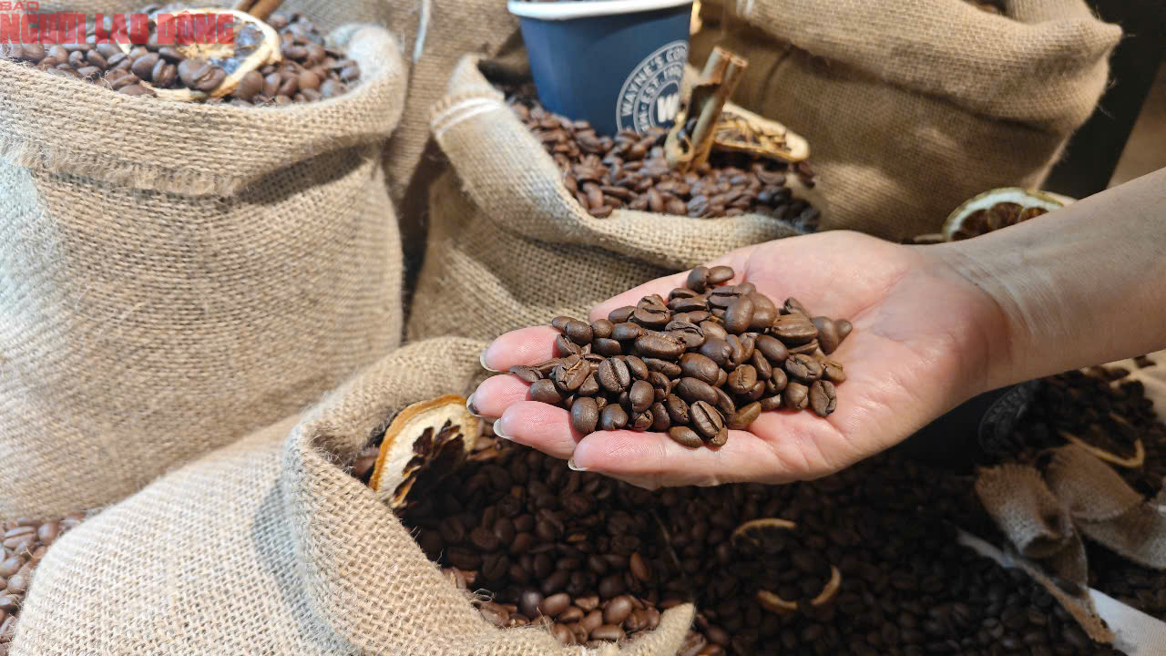 Giá cà phê hôm nay 17-7: Quay đầu tăng nhưng tương lai có thể chỉ 80.000 đồng/kg- Ảnh 1.