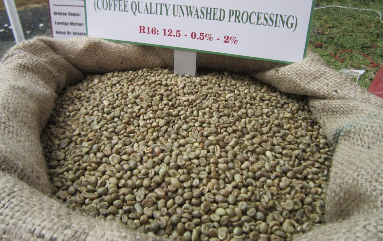 Giá cà phê hôm nay 24 - 7: Robusta hồi phục và dự báo tăng trưởng - Ảnh 1. Giá cà phê hôm nay 24 - 7: Robusta hồi phục và dự báo tăng trưởng - Ảnh 1.