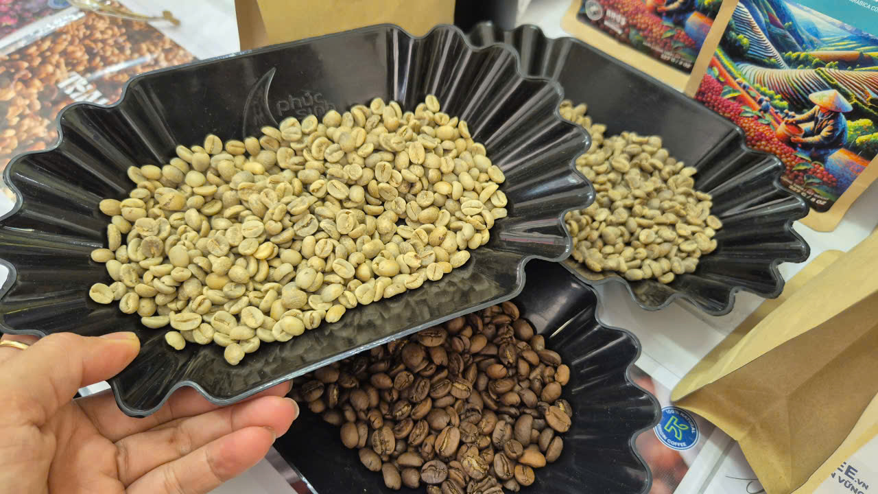 Giá cà phê hôm nay 4-8: Giá trong nước cao hơn thế giới 13.000 đồng /kg - Ảnh 2.
